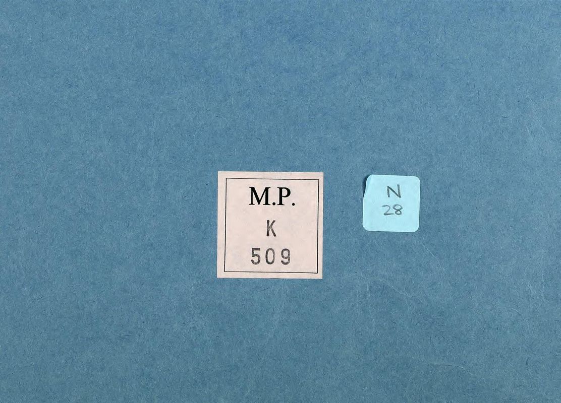 View document: Maps relating to the boundaries of the Ottoman Empire and Turkey, 1916-1923 .