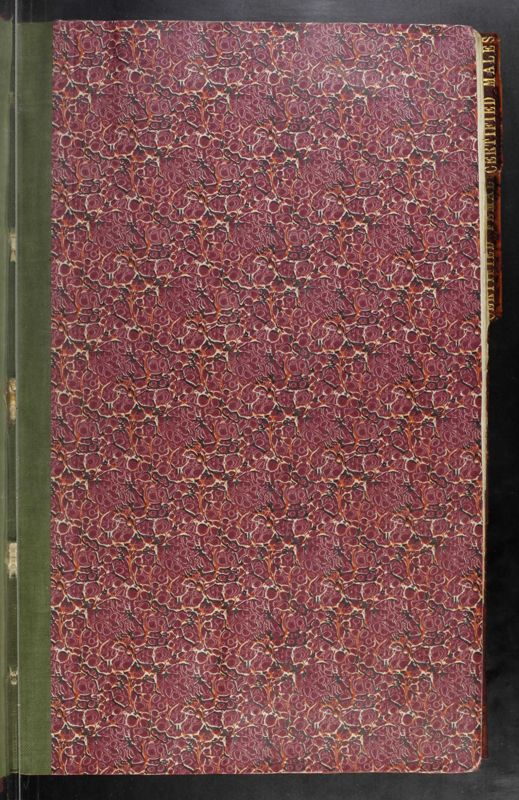 View document: CB-202: Patient Casebooks, 1915.