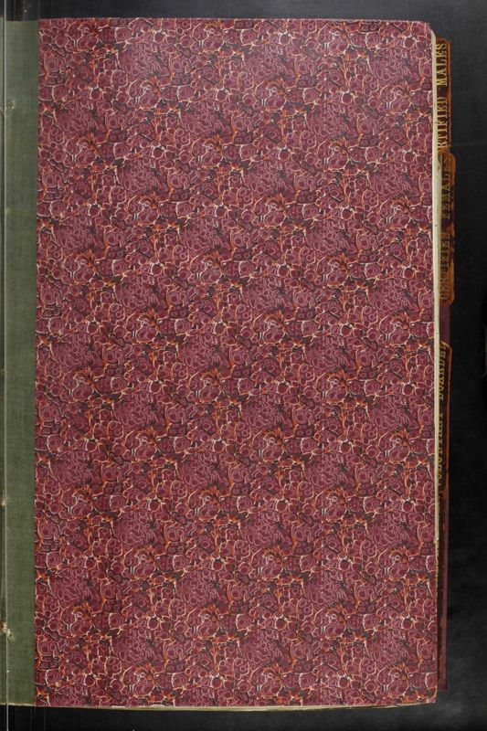 View document: CB-203: Patient Casebooks, 1916.
