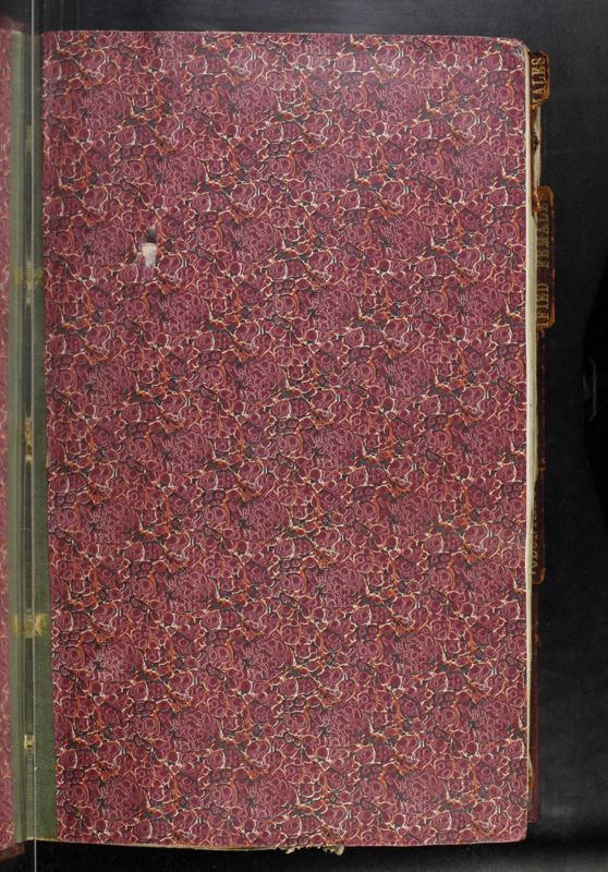 View document: CB-204: Patient Casebooks, 1917.
