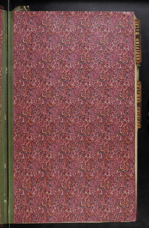 View document: CB-209: Patient Casebooks, 1918.