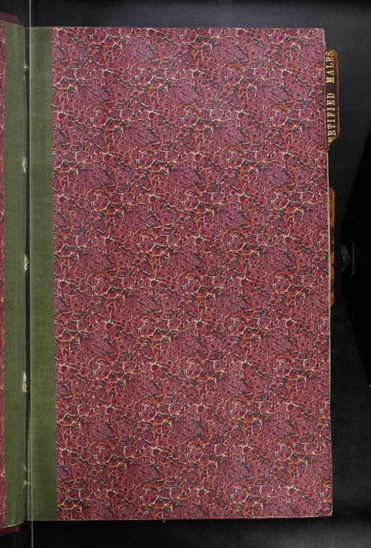 View document: CB-210: Patient Casebooks, 1919.