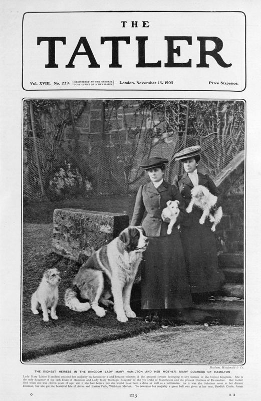 View document: 15th November 1905.