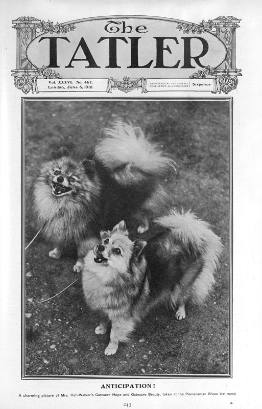 View document: 8th June 1910.