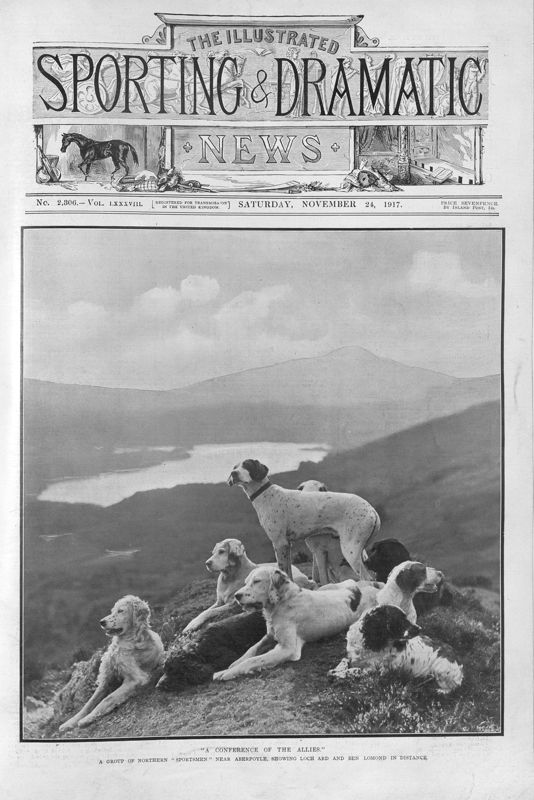 View document: 24th November 1917.