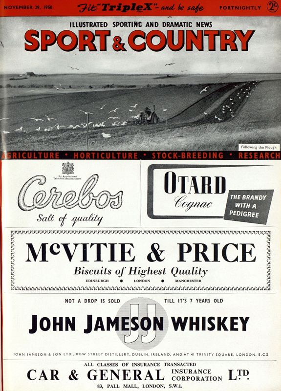 View document: 29th November 1950.
