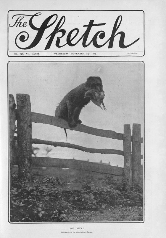 View document: 24th November 1909.