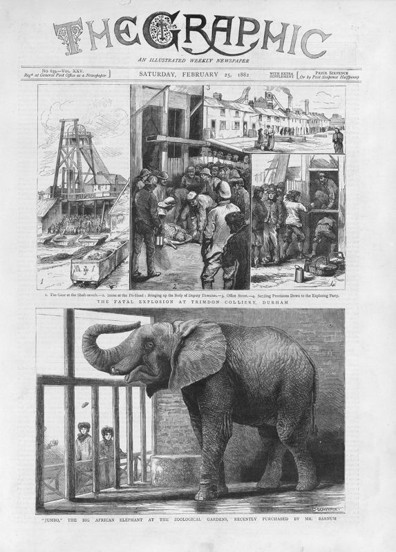 View document: 25th February 1882.