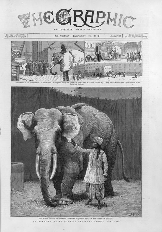 View document: 26th January 1884.