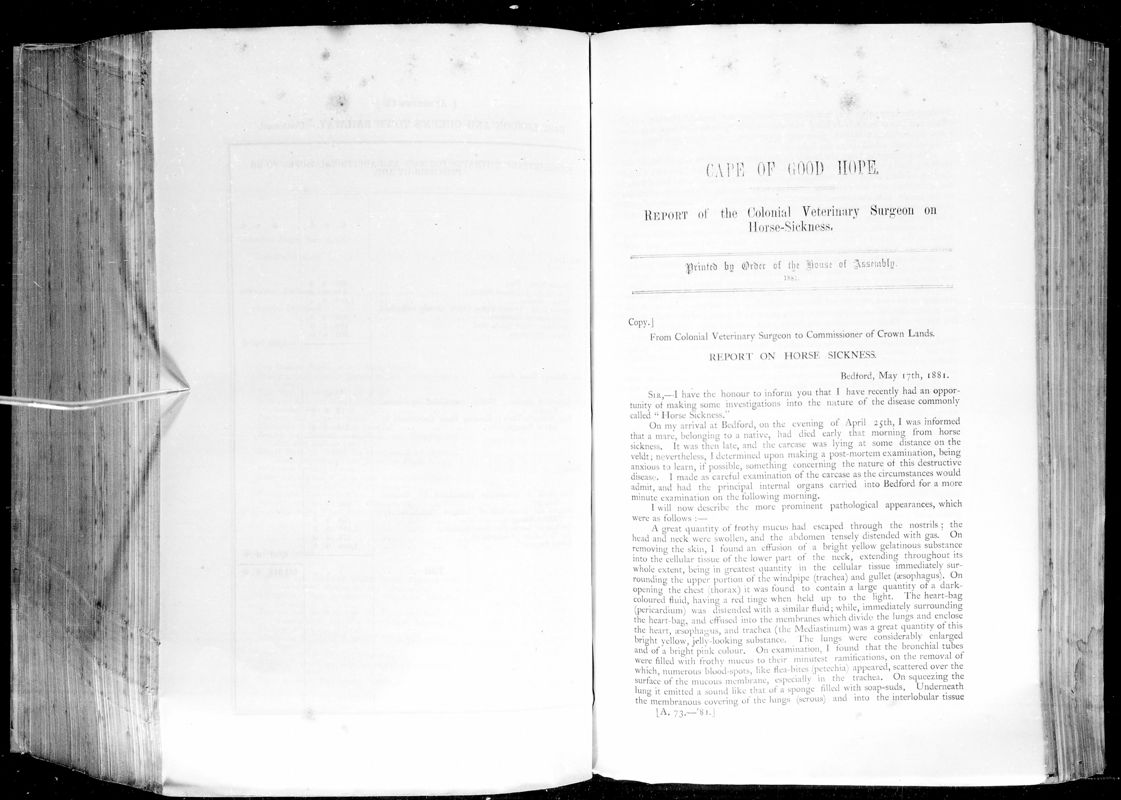View document: Report of The Colonial Veterinary Surgeon on Pleuro-Pneumonia in Goats, 1881.