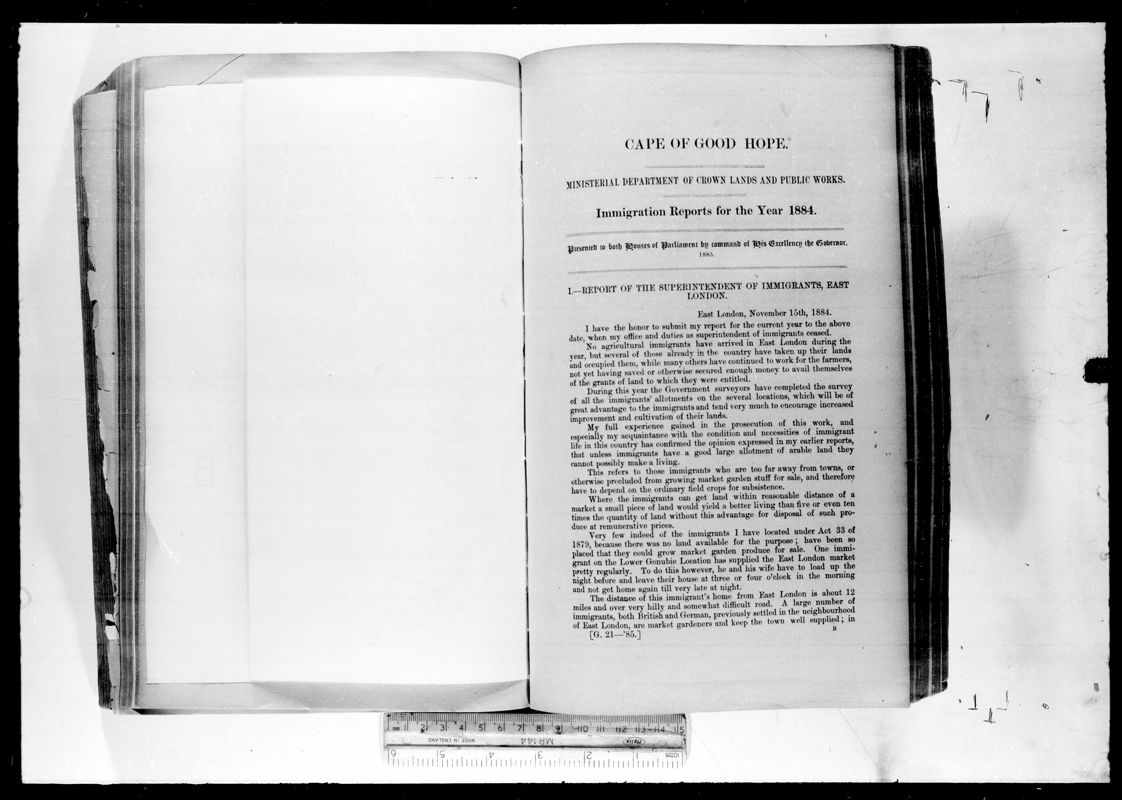 View document: Immigration Reports For The Year 1884.