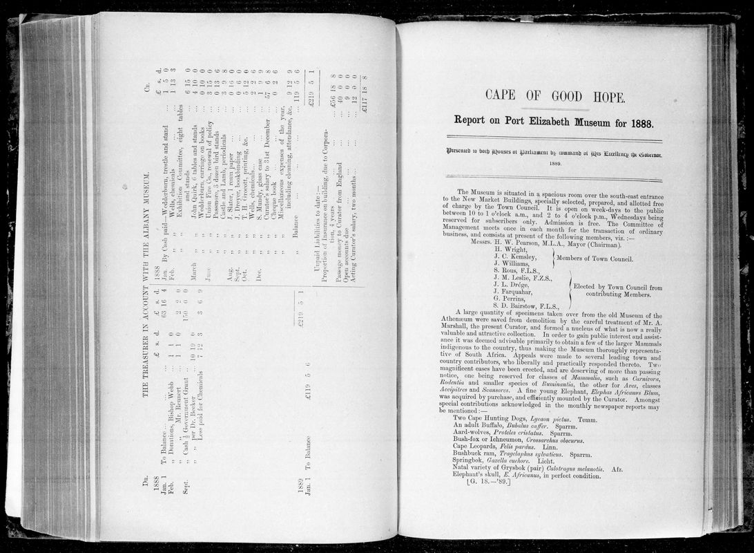 View document: Report on Port Elizabeth Museum For 1888.