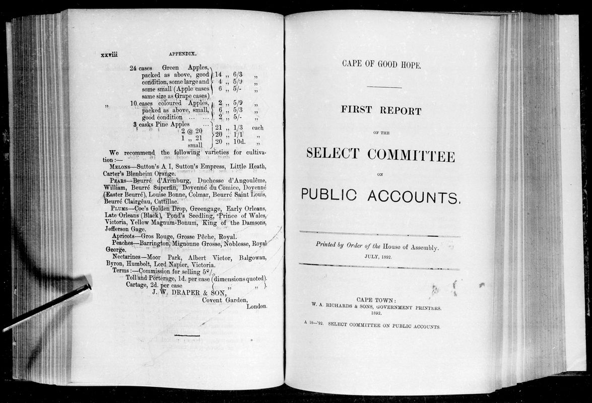 View document: Report of The Select Committee on Public Accounts, 1892.