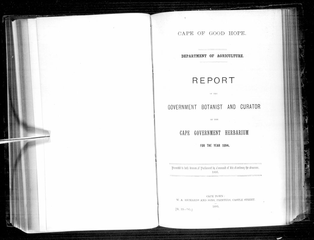 View document: Report of The Government Botanist and Curator For 1894.