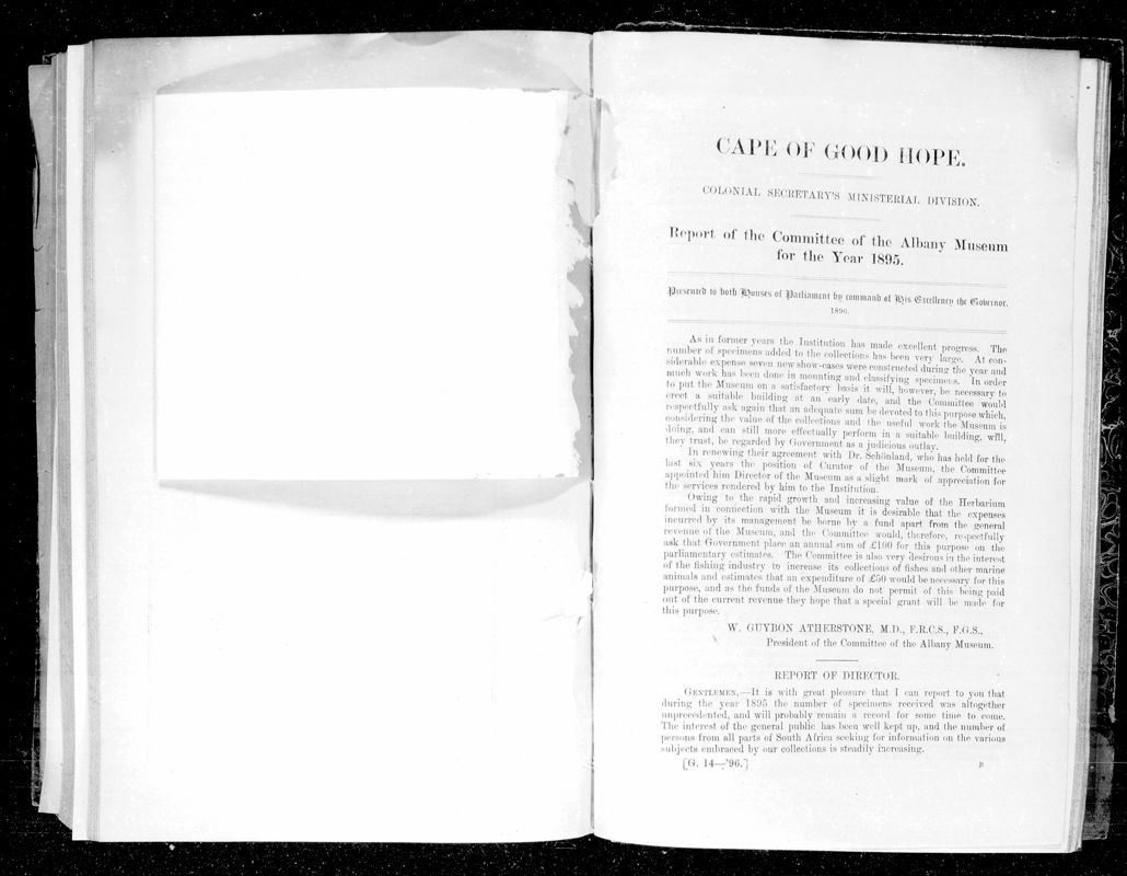 View document: Report of The Committee of The Albany Museum For 1895.