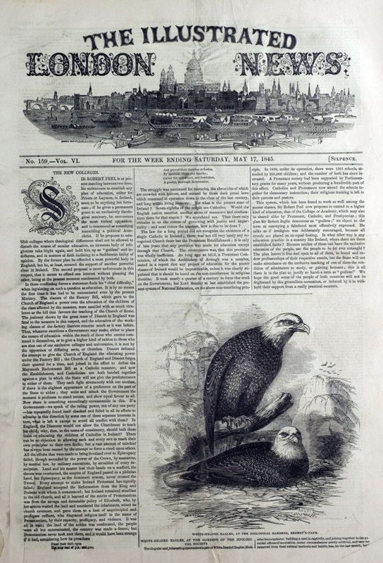 View document: 17 May 1845.