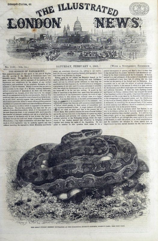 View document: 8 February 1862.
