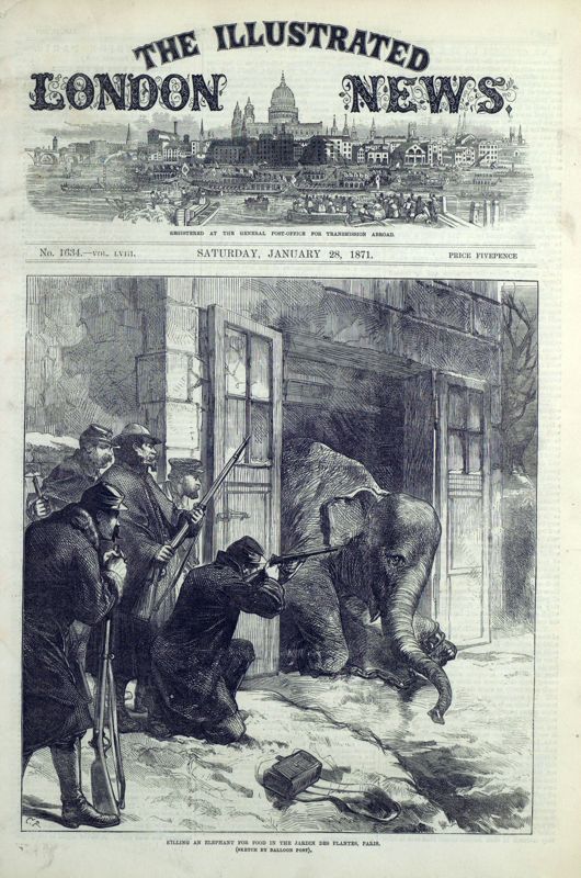 View document: 28 January 1871.