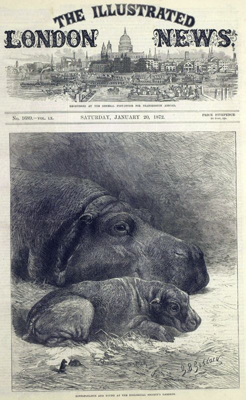 View document: 20 January 1872.