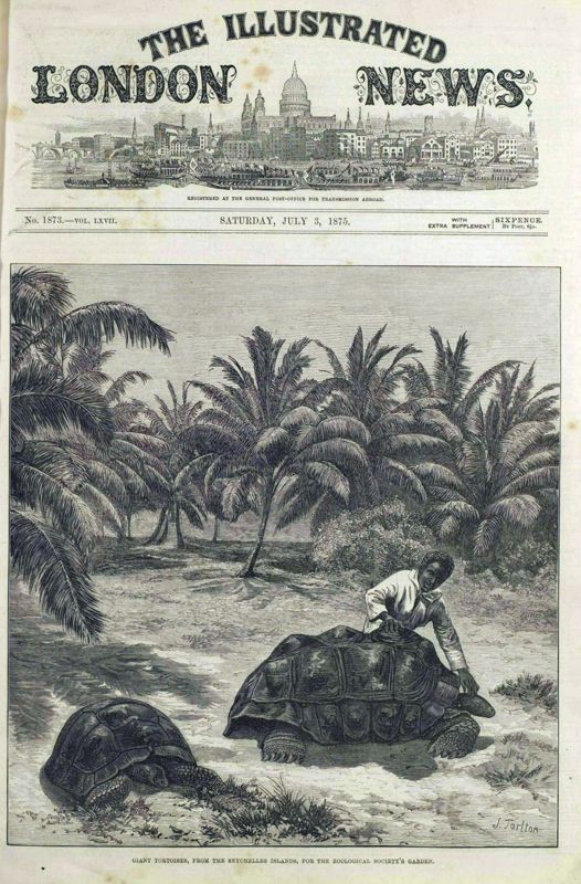 View document: 3 July 1875.