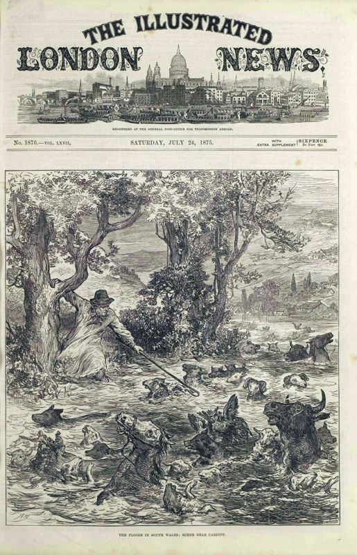 View document: 24 July 1875.