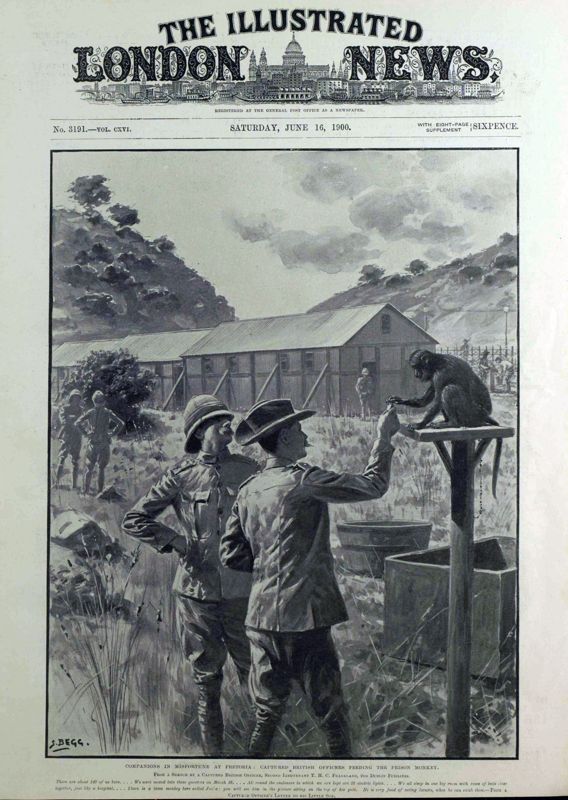 View document: 16 June 1900.