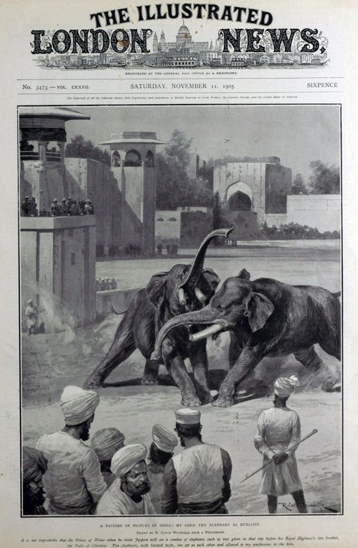 View document: 11 November 1905.