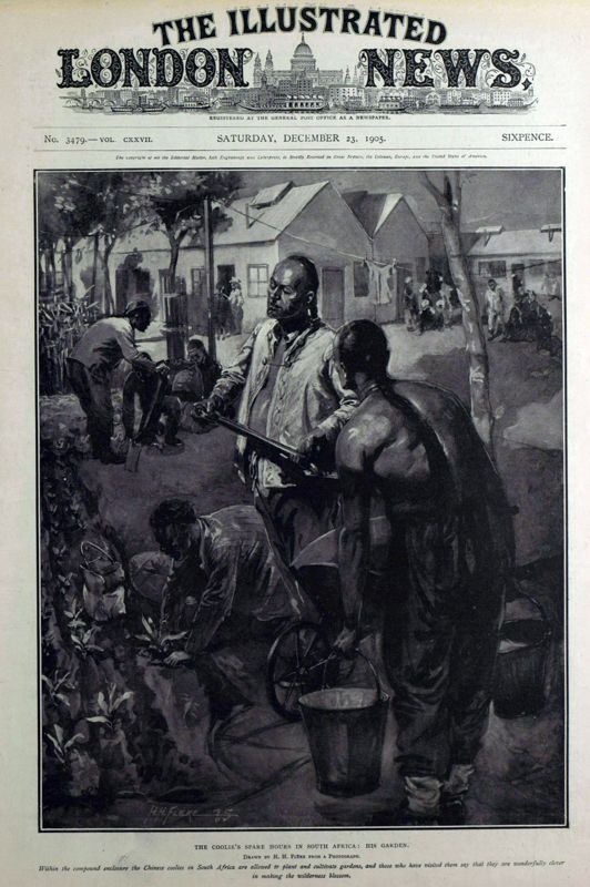 View document: 23 December 1905.