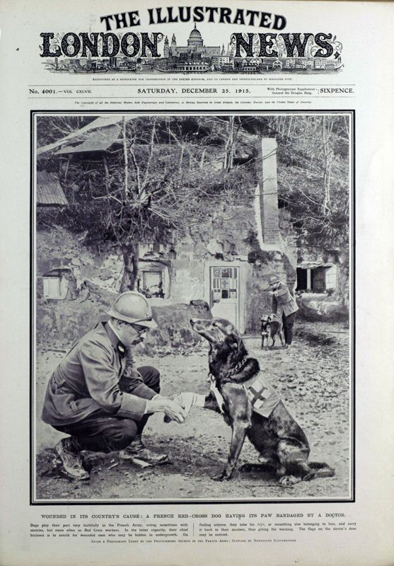 View document: 25 December 1915.