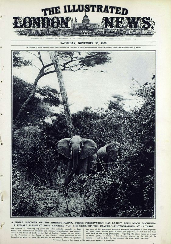 View document: 30 November 1929.