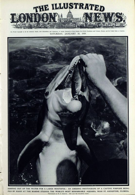 View document: 28 January 1939.