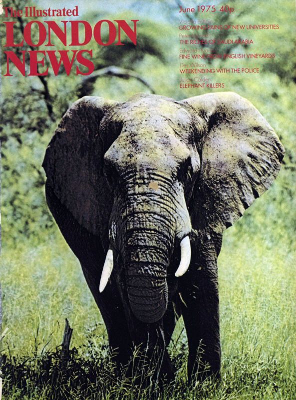 View document: June 1975.