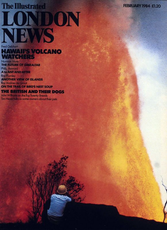 View document: February 1984.