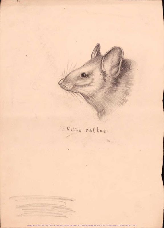 View document: Early schoolwork of Ivor Montagu, 1911-1912.