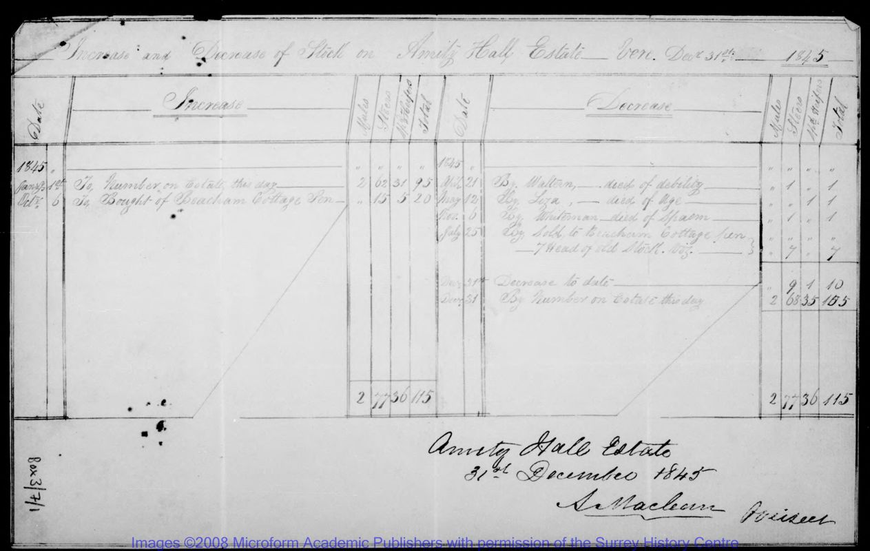 View document: Statements of account (1845-1855).